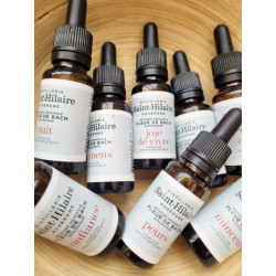 Complexe Fleurs de Bach - confiance